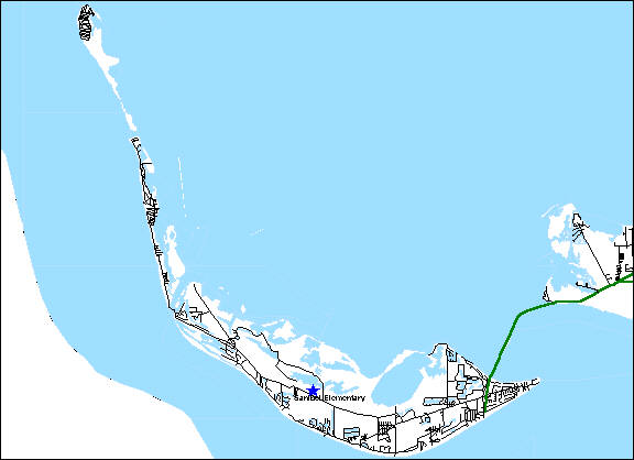 sanibelelem.jpg (31514 bytes)